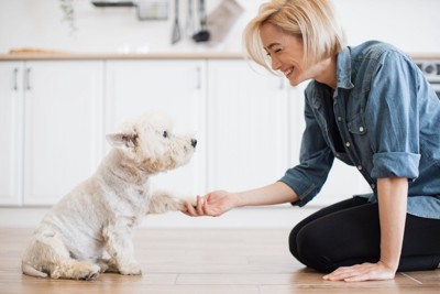 女性にお手をする犬