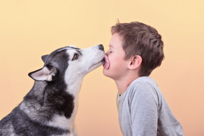 犬に口を舐められている男の子