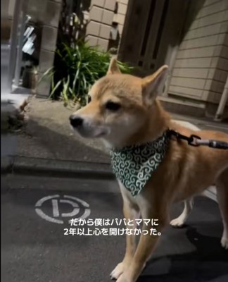 夜の散歩