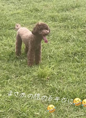 笑顔いっぱい