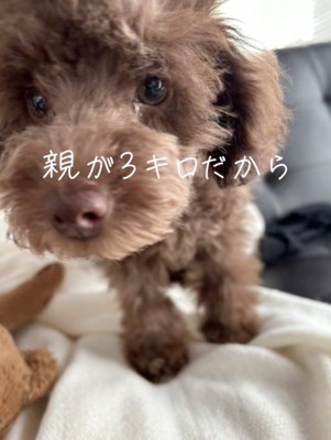 愛嬌たっぷり
