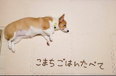 ごはん