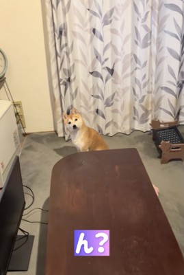 じーっ…