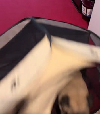 使い方が斬新!!