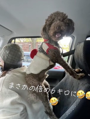 相思相愛だね