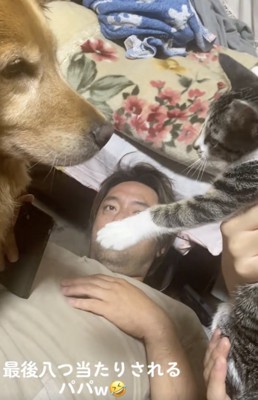 パパはガン見
