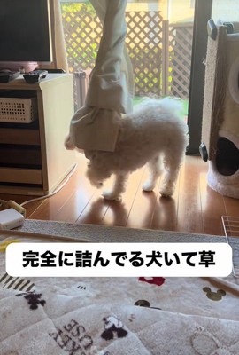 くるりっ