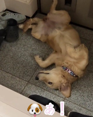 目覚めた！！