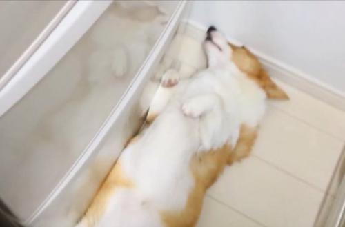 原状回復