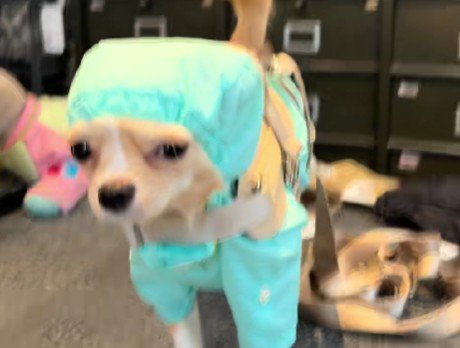 外科医の手術服みたい…!