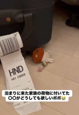 そこにはドコモダケが…!