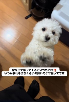 熱烈歓迎♡