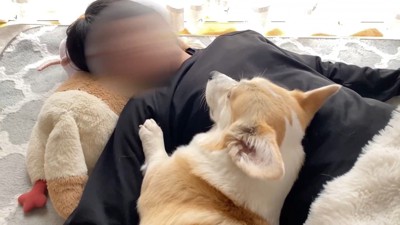 じーっ