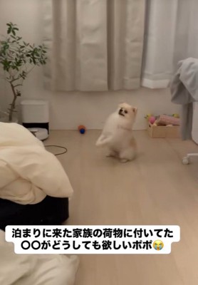 「ちょうだい!ちょうだい!」