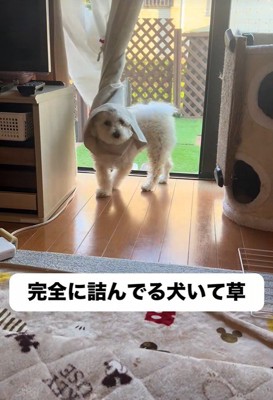 Uターン