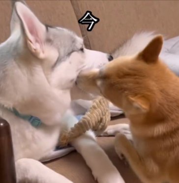 お母さん
