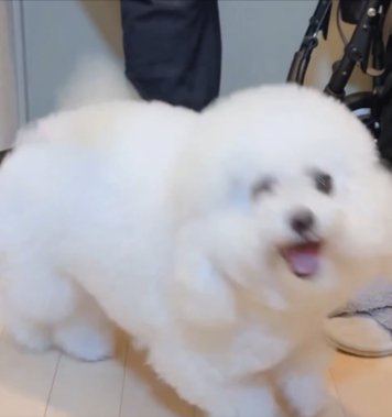 入ってない