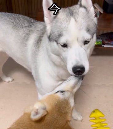 現在