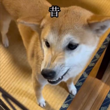 昔