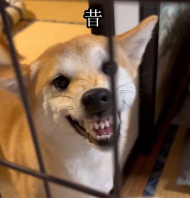 ムキ顔