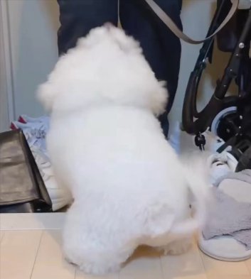 大好きな人