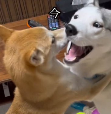 受け入れる