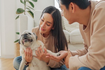 パグと遊ぶ夫婦