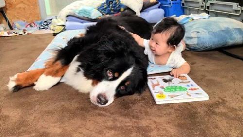 仲良く寄り添う姿が尊い♪
