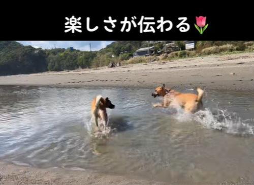 海で大はしゃぎ♪