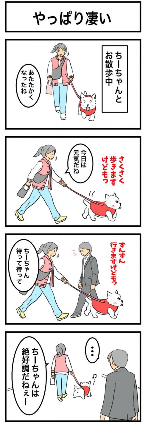 ちーちゃんですけどもっ【第358話】　1