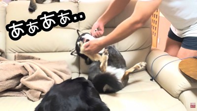 お父さんの先制攻撃!