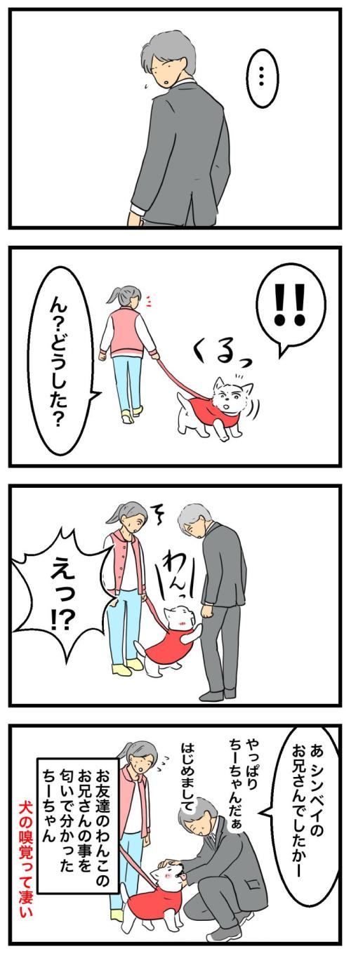 ちーちゃんですけどもっ【第358話】　2