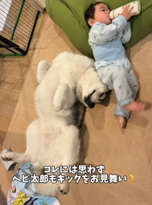 「構って~」