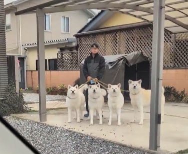 お出迎え