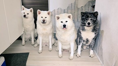 仲良し