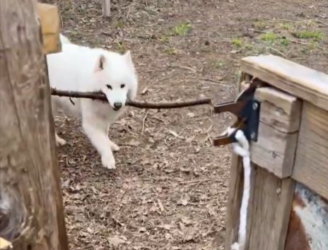 あの手この手
