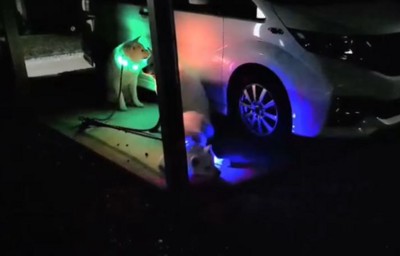 穏やか