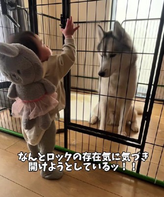 「今開けるからね!」