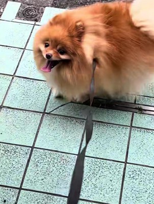 あえなく敗退