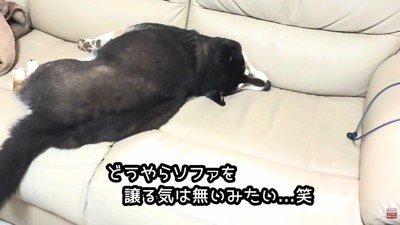 「座らせないぞ!」と首をピーン