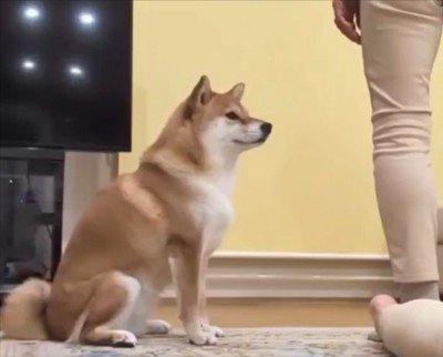 足踏み