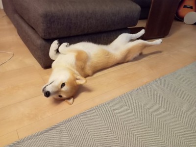 伸びる