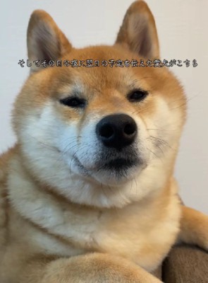 「また…あそこに行くのか…」