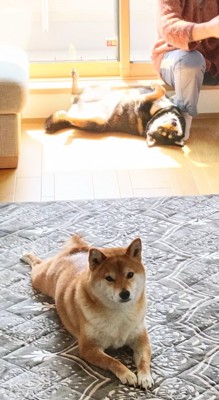 仲良し