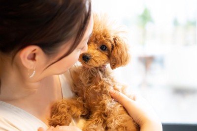 女性に抱かれる犬