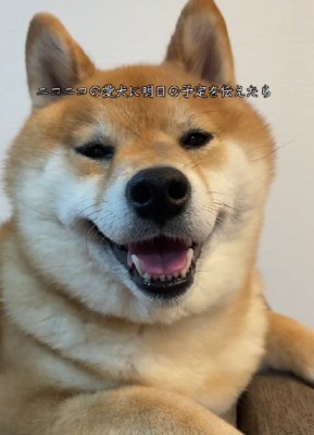 ニコニコで会話するなみちゃん