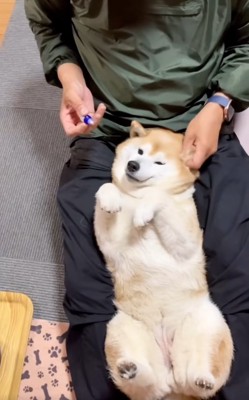 薬を入れたお父さん