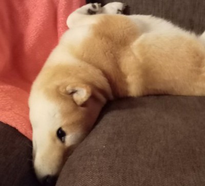 角度