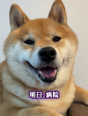 「今日は病院行くよ」