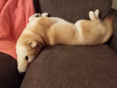 無防備